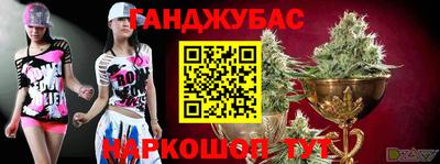 спиды Камышлов